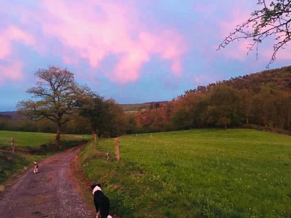 Le Chant De L Aisne Erezee Bagian luar foto